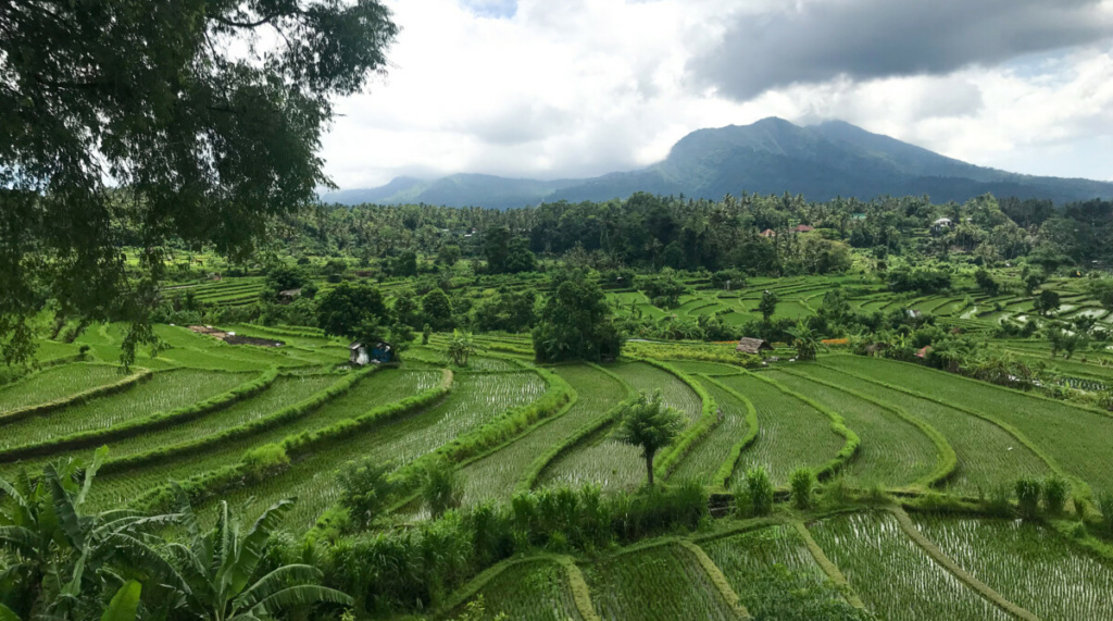 YoukiKwinten_Fotografie_Banner5